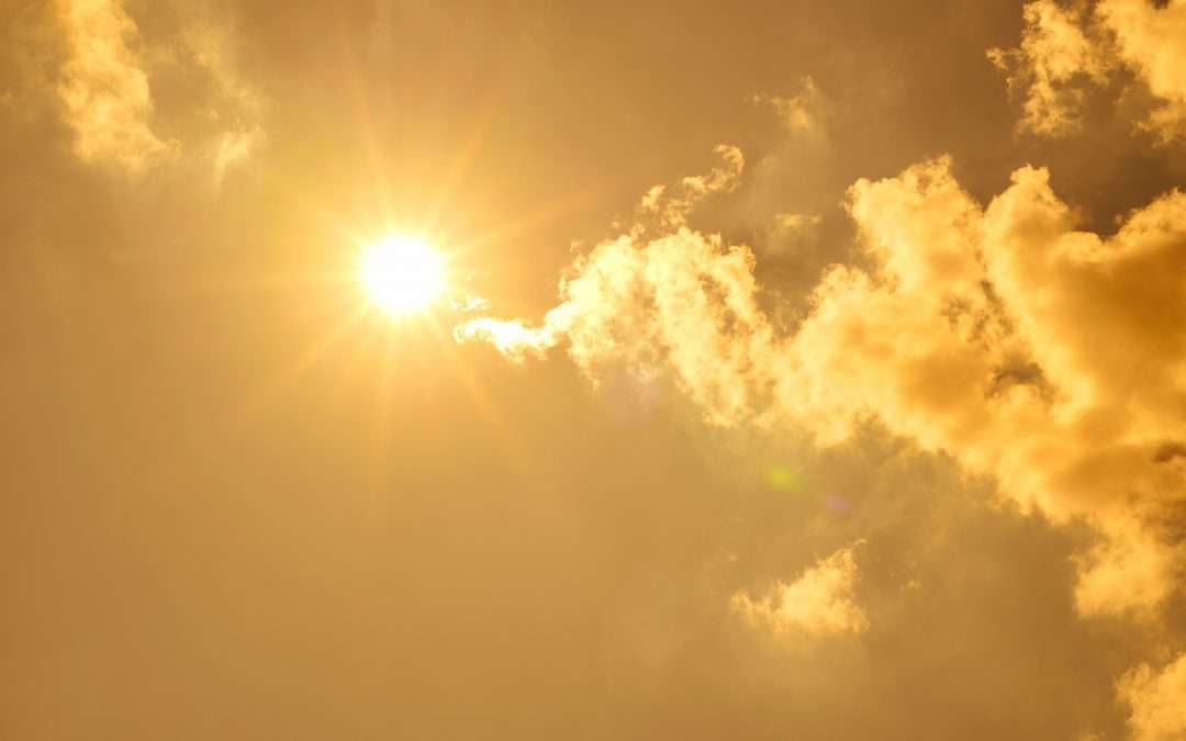 Climate science consensus