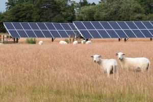 solar farm