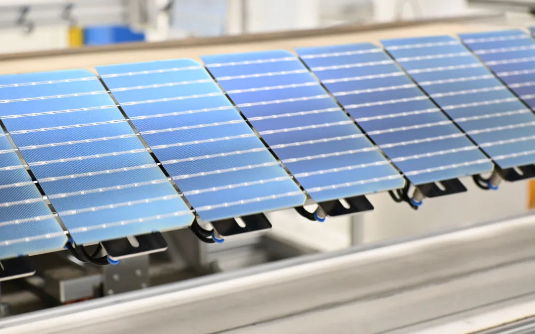 The Advantages of Australian-Made Tindo Solar Panels in Brisbane