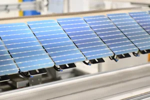 Australian Made Tindo Solar Panel cells